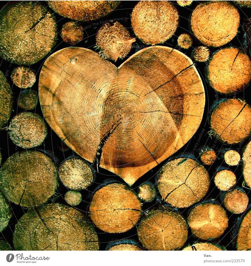Holz ist... Natur Baum Herz schön braun gelb Gefühle Glück Außenaufnahme Baumstamm beige Strukturen & Formen Holzstapel Brennholz herzförmig Jahresringe Stapel