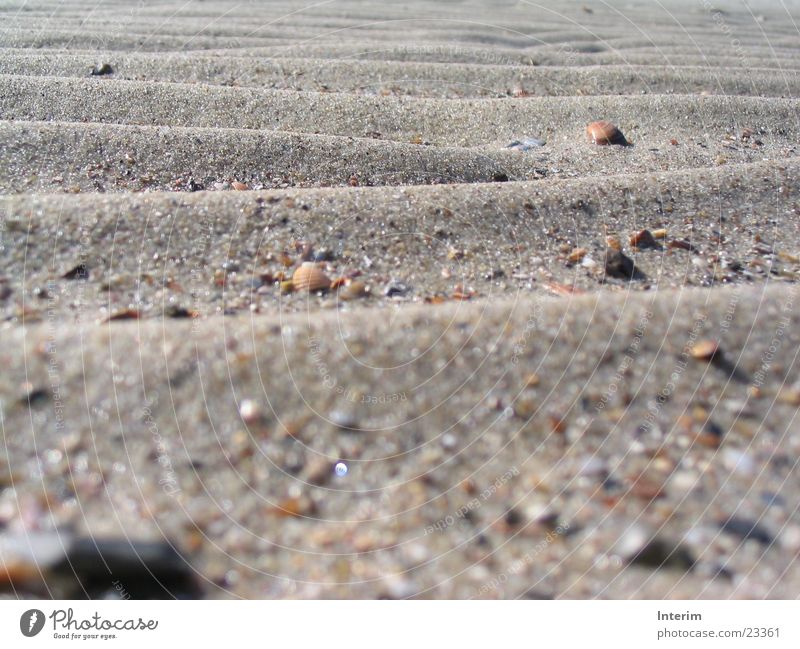 Sandwellen Strand Korn Muschel Wellen Stein wellig glänzend Nahaufnahme Tag