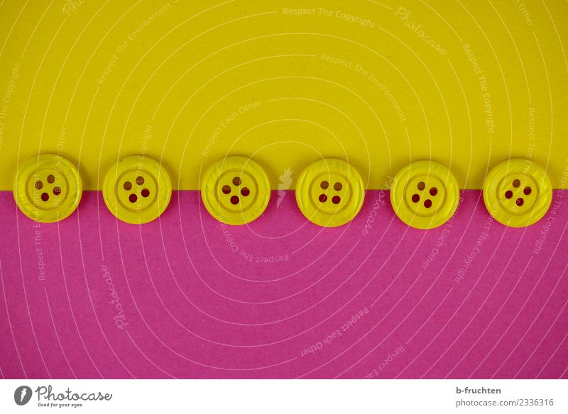Knopfreihe Linie gelb rosa Sicherheit Zufriedenheit gleich Horizont Ordnung Knöpfe Grenze Reihe sortieren Mitte Studioaufnahme Nahaufnahme Menschenleer