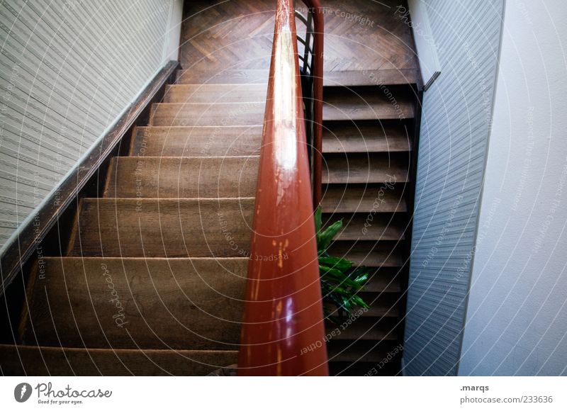 Ab Innenarchitektur Treppe Treppenhaus Treppengeländer Altbau Holz Linie alt Perspektive aufsteigen Innenaufnahme Menschenleer dunkelbraun Vogelperspektive