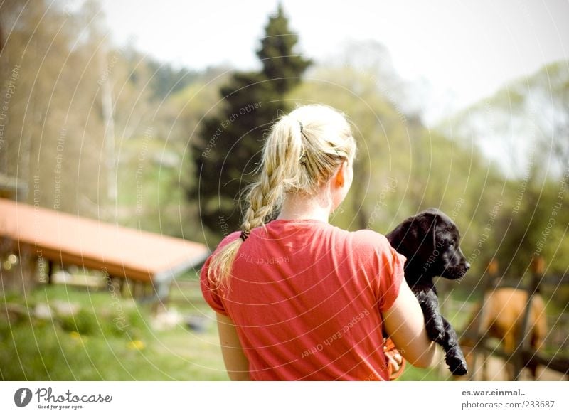 auf dem land. Sommer feminin 1 Mensch Natur blond Tier Hund Erholung Tierliebe tragen Welpe Farbfoto Tierporträt Rückansicht Außenaufnahme Zopf geflochten