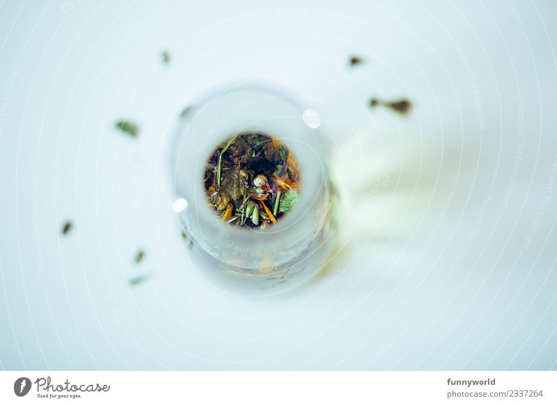 Blick von oben in Karaffe mit Kräutertee Heißgetränk Tee Gesundheit Gesunde Ernährung außergewöhnlich Duft rund Unschärfe Perspektive Blüte Mitte Blatt