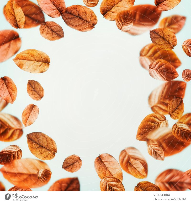 Hintergrund mit fliegenden Herbstblätter Stil Design Natur Pflanze Blatt gelb Hintergrundbild Entwurf September arrangiert Oktober November Herbslaub orange