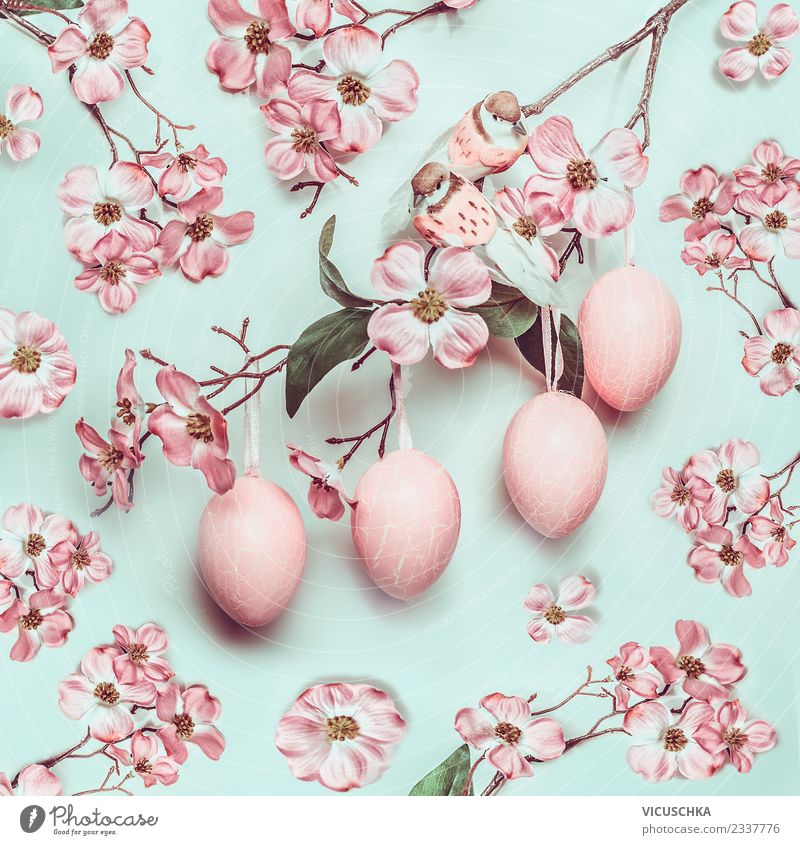 Hängende Ostereier mit rosa Blüten Stil Design Spa Ostern Natur Pflanze Frühling Blatt Dekoration & Verzierung Blumenstrauß Ornament gelb Tradition