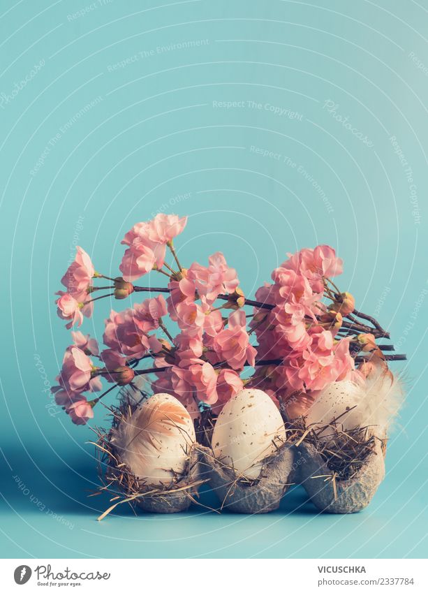 Ostereier im Kasten mit dekorativer Frühlingsblüte Stil Design Dekoration & Verzierung Ostern Blumenstrauß Zeichen blau rosa türkis weiß Tradition