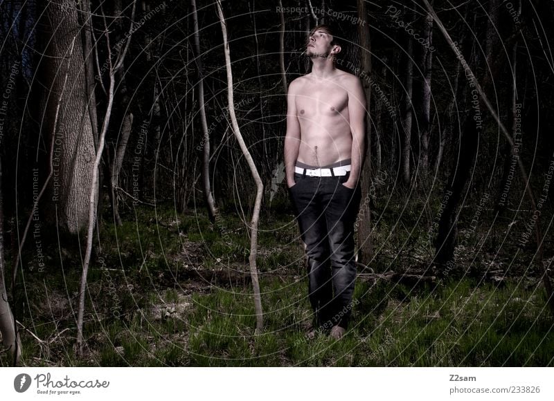 in the dark Lifestyle maskulin Junger Mann Jugendliche 1 Mensch 18-30 Jahre Erwachsene Natur Baum Gras Wald Jeanshose Gürtel stehen Traurigkeit dunkel gruselig
