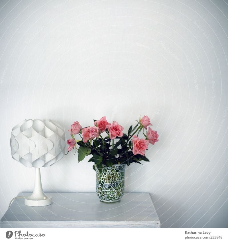 endlich mal wieder aufgeräumt Häusliches Leben Wohnung einrichten Dekoration & Verzierung Möbel Lampe Tapete Wohnzimmer Schlafzimmer Vase grün rosa weiß
