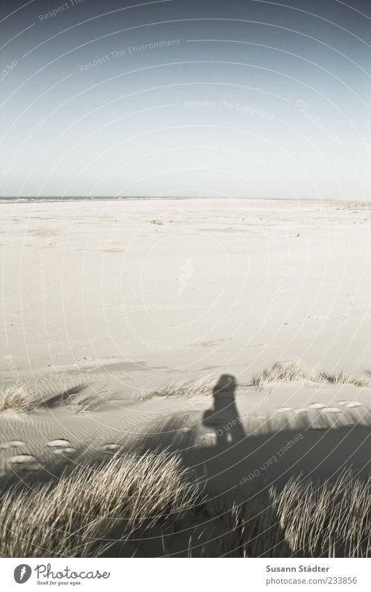 Spiekeroog | Weitundbreitniemand 1 Mensch Küste Strand Nordsee Ostsee Meer Insel groß Sand Dünengras Wolkenloser Himmel Ferne Farbfoto Außenaufnahme