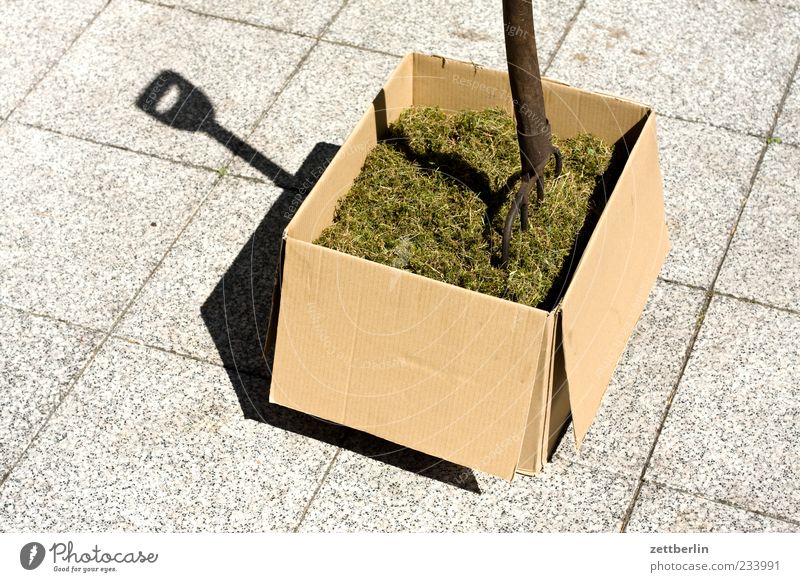 Heu Klima Wetter Schönes Wetter Gras Grünpflanze Kiste Karton Rasenmäher Forke Gabel Verpackung Terrasse Schatten Farbfoto mehrfarbig Außenaufnahme