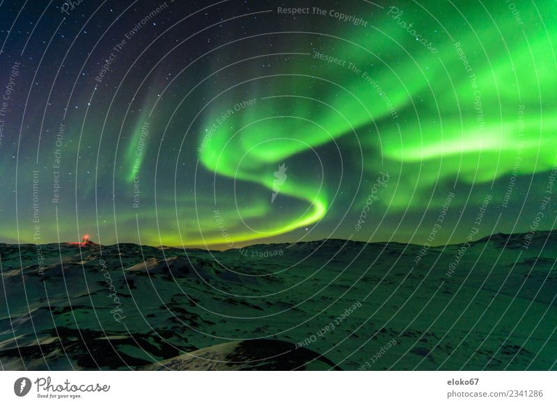 Aurora borealis in Grönland Natur Landschaft Nachthimmel Stern Winter Nordlicht Stimmung Lebensfreude Interesse Überraschung Ferien & Urlaub & Reisen