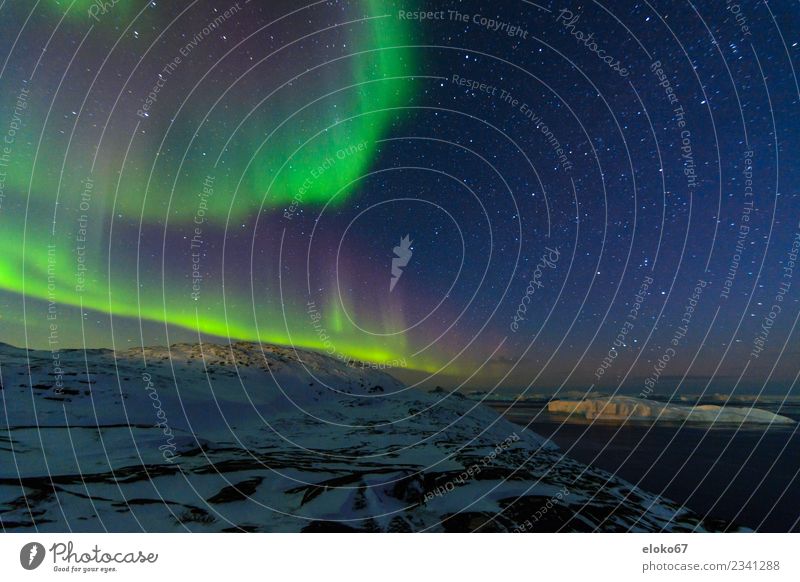 Aurora Borealis bei Ilulissat Abenteuer Ferne Freiheit Nordlicht beobachten Blick hell Farbfoto Nacht Lichterscheinung