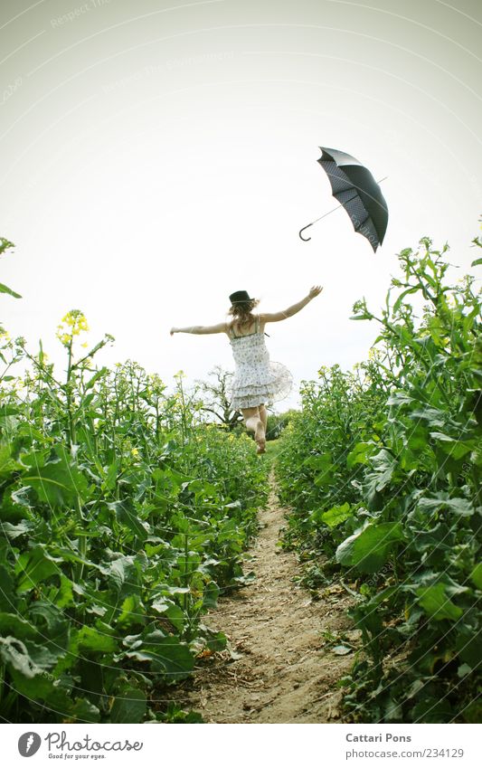 Miracle World Junge Frau Jugendliche Erwachsene 1 Mensch Pflanze Blatt Blüte Feld Kleid Accessoire Regenschirm Barfuß Hut fliegen springen frei Fröhlichkeit