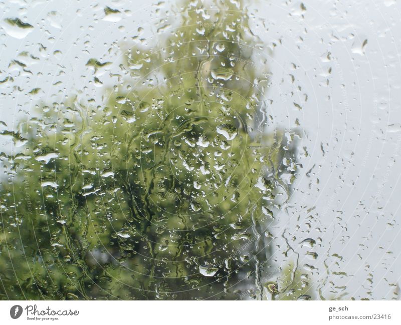 Regenschauer Fensterscheibe nass Waser Wassertropfen Aussicht Wetter Innenaufnahme