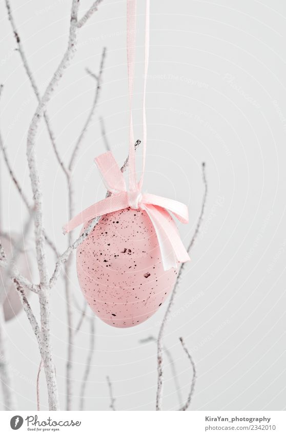 Rosa dekoratives Ei, das an einem trockenen Ast hängt. Design Glück Jagd Dekoration & Verzierung Feste & Feiern Ostern Landschaft Frühling Ornament Schnur lang
