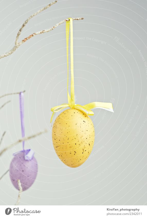 Gelbe und violette Ziereier, die an einem trockenen Ast hängen. Design Glück Jagd Dekoration & Verzierung Feste & Feiern Ostern Landschaft Frühling Ornament