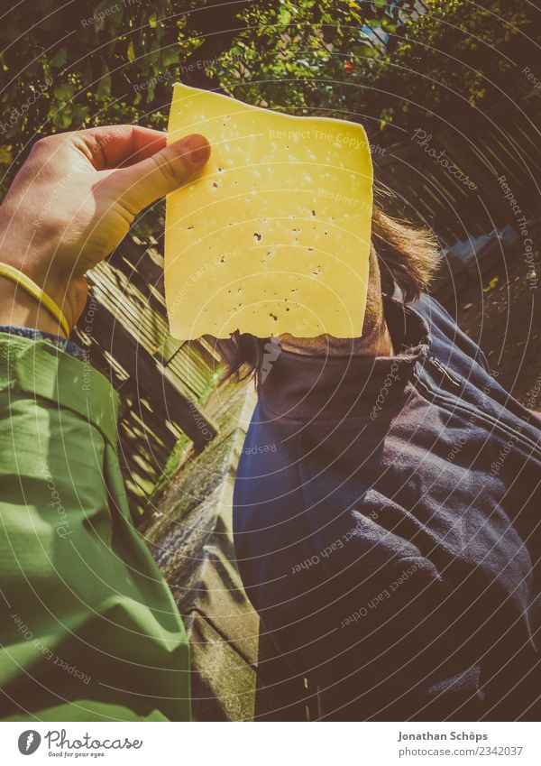Du alte Käsebemme! | Scheibe Käse vor dor Gusche Mensch maskulin Körper 1 18-30 Jahre Jugendliche Erwachsene Käsebrot Hand haltend anonym Identität