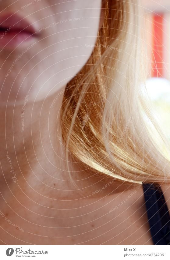 Haare schön Haare & Frisuren Mensch feminin Junge Frau Jugendliche Kopf 1 18-30 Jahre Erwachsene Sonnenlicht Sommer blond langhaarig hell Haarsträhne Hals