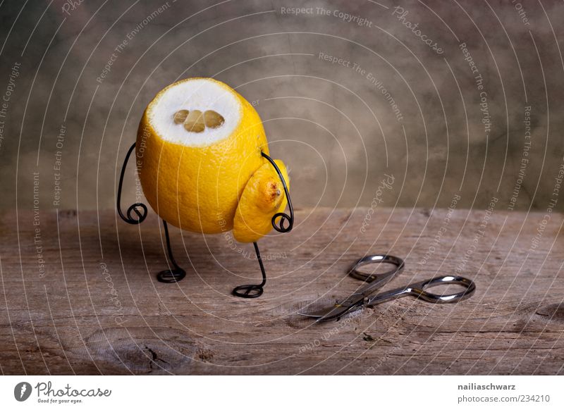 Kopflos Lebensmittel Frucht Zitrone Zitrusfrüchte Ernährung stehen außergewöhnlich gruselig sauer braun gelb Gefühle Traurigkeit Trauer Endzeitstimmung kopflos