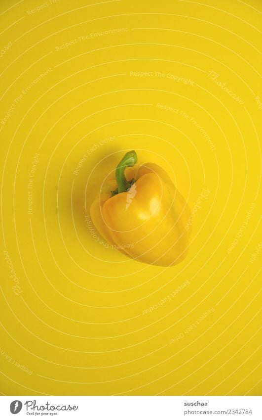 chamäleon-paprika gelb Farbe einfarbig Paprika Gemüse Diät Vegane Ernährung gesund Gesunde Ernährung Naturprodukt Pflanze pflanzlich natürlich Vitamin