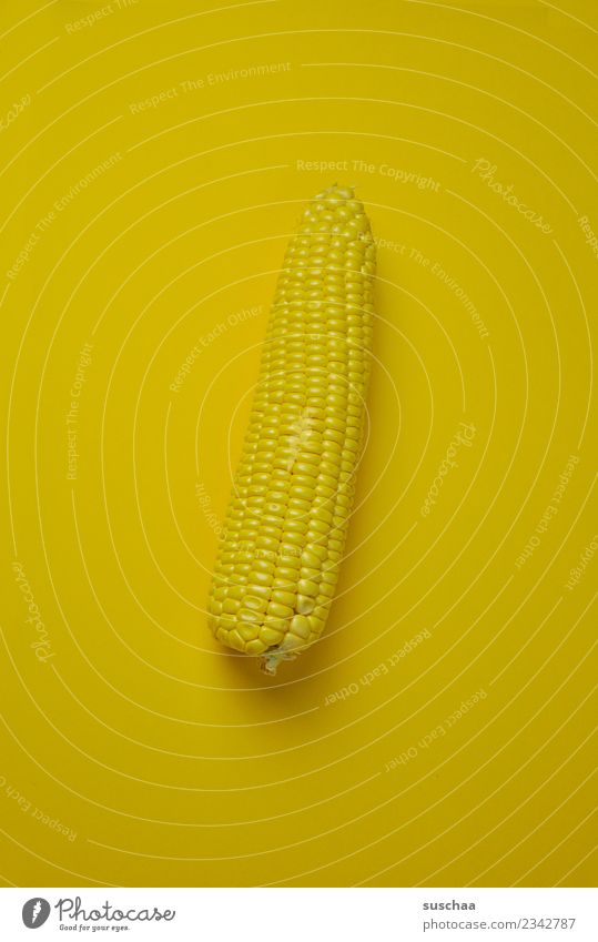 chamäleon-mais gelb Farbe einfarbig Mais Maiskorn Popkorn Gemüse Diät Vegane Ernährung Gesunde Ernährung Naturprodukt Pflanze natürlich Lebensmittel