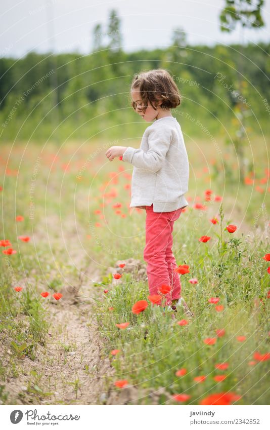Süßes kleines Mädchen, das Spaß auf einem Mohnfeld hat. Freude Glück schön Leben Spielen Kind Mensch Baby Frau Erwachsene Kindheit 1 3-8 Jahre Natur Blume Gras