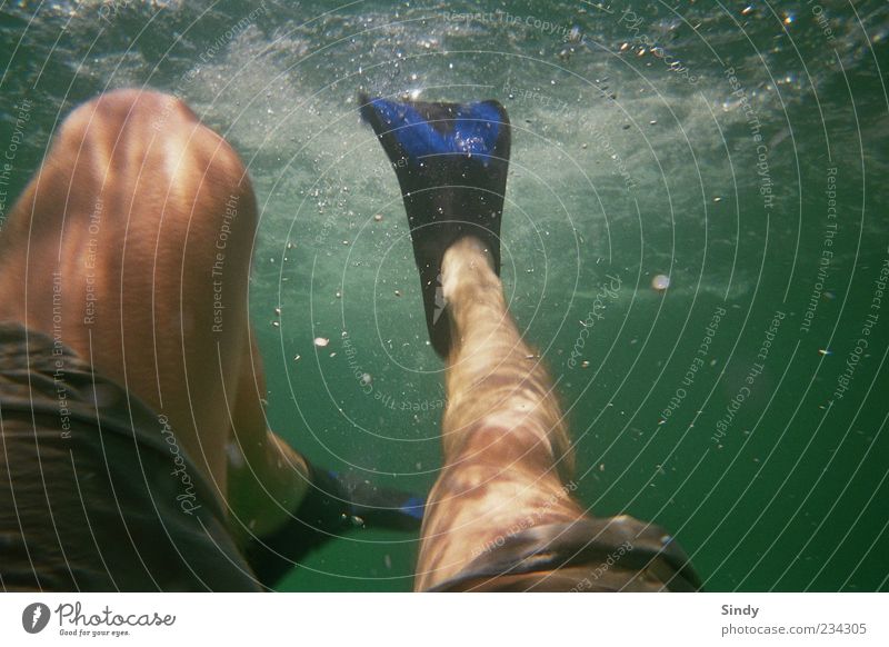 Flosse Ferien & Urlaub & Reisen Sommer Meer tauchen Mann Erwachsene Beine 1 Mensch Wasser Erholung Unterwasseraufnahme Textfreiraum rechts Tag Schwimmhilfe