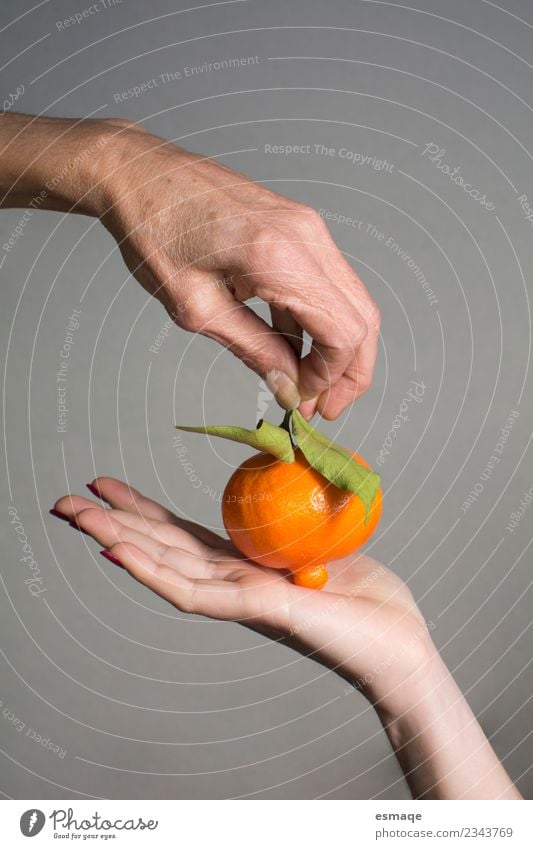 Hände halten eine natürliche Orange. Lebensmittel Frucht Ernährung Büffet Brunch Bioprodukte Lifestyle Freude Gesundheitswesen Hand 2 Mensch Diät