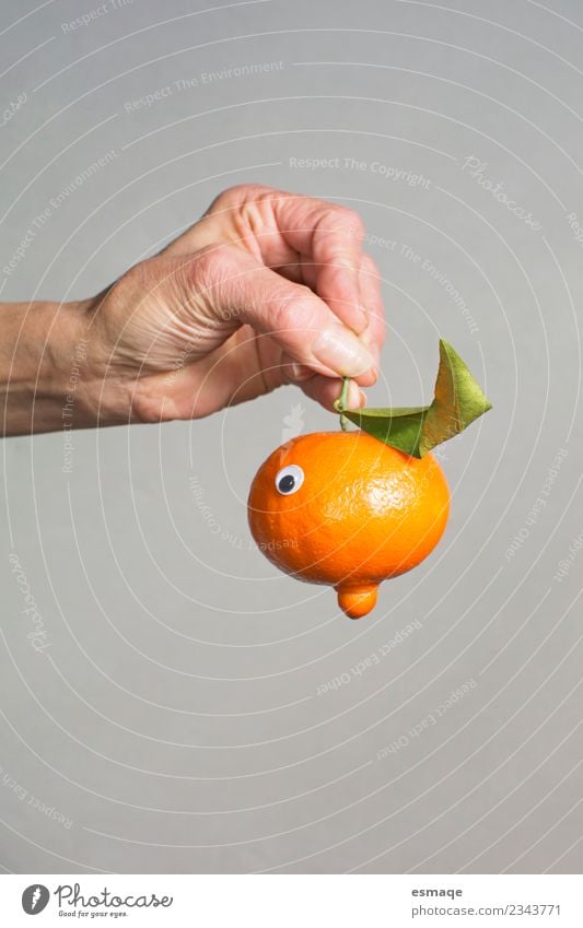 Porträt von Orange mit Augen Lebensmittel Frucht Ernährung Essen Bioprodukte Vegetarische Ernährung Saft Lifestyle Freude schön Gesundheit Gesundheitswesen