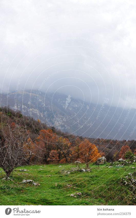 herbst Landschaft Berge u. Gebirge Traurigkeit Herbst Herbstwald Gewitterwolken Farbfoto Menschenleer Dunst Nebel herbstlich Textfreiraum oben Tal Baum Wiese