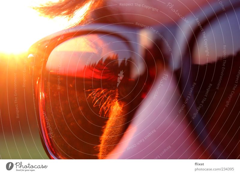 Sonnenbrille im Einsatz Haare & Frisuren Auge 1 Mensch Zufriedenheit Coolness Wimpern Farbfoto Außenaufnahme Dämmerung Reflexion & Spiegelung Gegenlicht