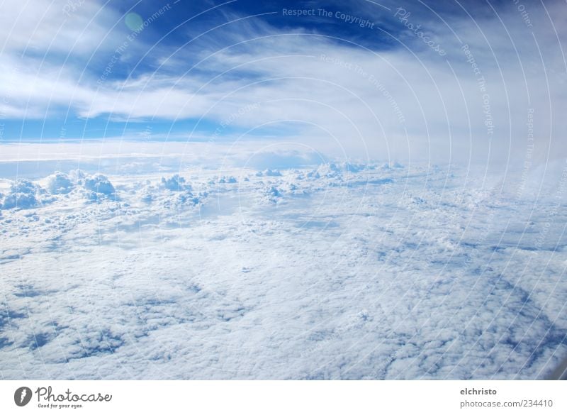 Zwischen unten und oben, quasi dazwischen Luft Himmel Wolken Sonnenlicht Schönes Wetter Luftverkehr Flugzeugausblick Freiheit Ferne Blauer Himmel weiß