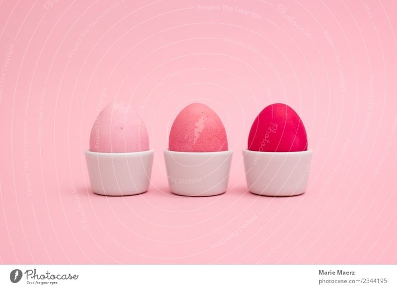 Drei rosa Eier im Eier-Becher Ernährung Frühstück Design Ostern Essen ästhetisch trendy schön Coolness Farbe Idee einzigartig Kreativität Kunst Tradition
