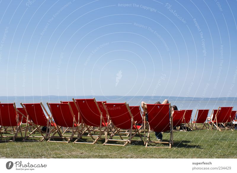 Platz an der Sonne harmonisch Wohlgefühl Erholung Sommer Sommerurlaub Sonnenbad Wolkenloser Himmel Schönes Wetter Seeufer Strand Neusiedlersee sitzen heiß blau