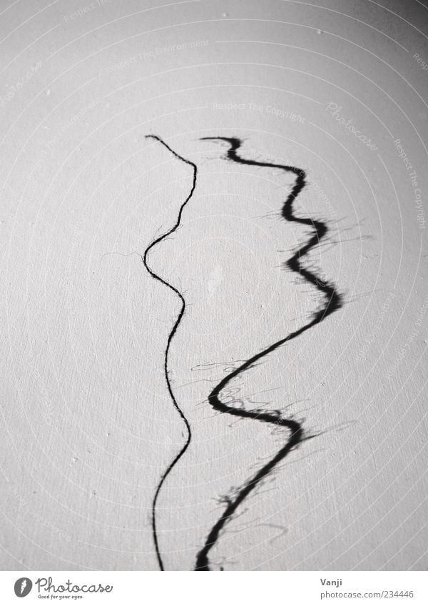 Den Faden verloren Linie grau schwarz weiß Nähgarn Schnur Schatten Schattenspiel Kurve Schwarzweißfoto Innenaufnahme Muster Strukturen & Formen weich dünn lang