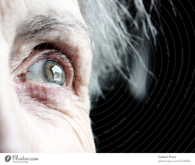 Im Herz bleibst du immer! Weiblicher Senior Frau Auge 1 Mensch grauhaarig weißhaarig Denken Blick alt Unendlichkeit nah grün erinnern Erinnerung Augenbraue