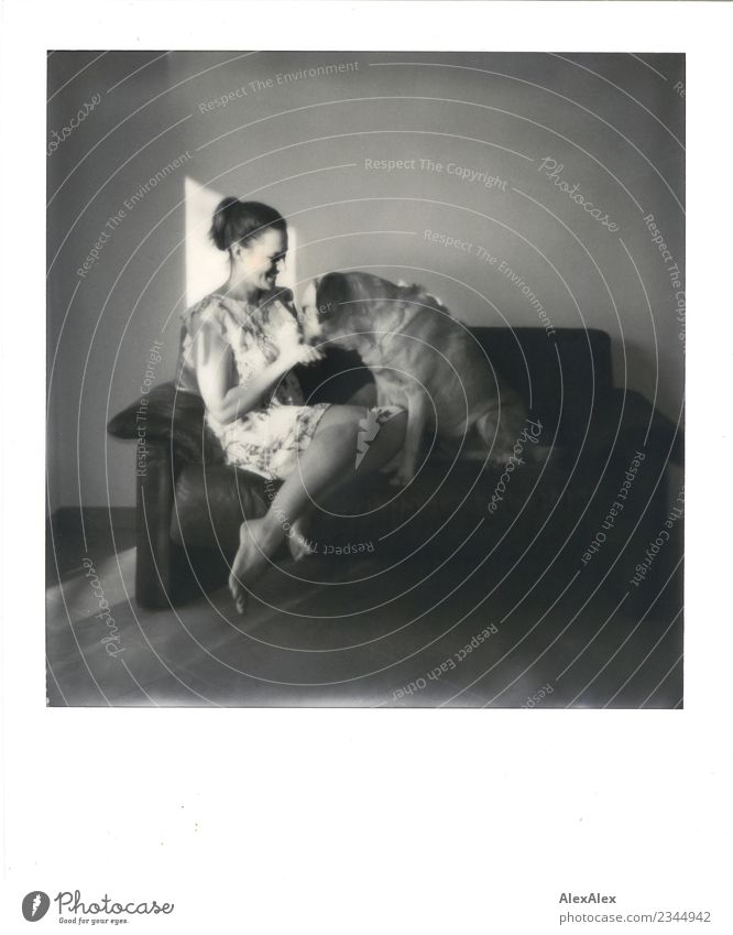 Auf den Hund gekommen Freude schön Wohlgefühl Wohnung Raum Jugendliche Beine Fuß 18-30 Jahre Erwachsene Sofa Kleid Barfuß brünett langhaarig Labrador Polaroid
