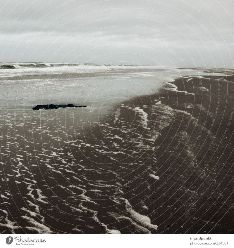 Am grauen Strand Umwelt Natur Landschaft Sand Wasser Wetter schlechtes Wetter Wind Küste Nordsee Meer Insel Wattenmeer Ostfriesische Inseln Spiekeroog