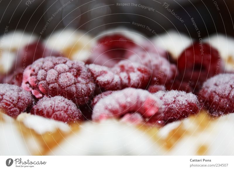 Himbeertorte Lebensmittel Kuchen Dessert Torte Obstkuchen kalt Himbeeren nah tiefgekühlt rot frisch süß Sahnetorte Farbfoto Innenaufnahme gefroren Menschenleer