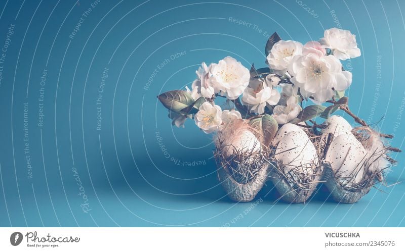 Blauer Ostern Hintergrund mit Eiern und weißen Blüten Stil Design Dekoration & Verzierung Frühling Blatt Tradition Hintergrundbild Symbole & Metaphern