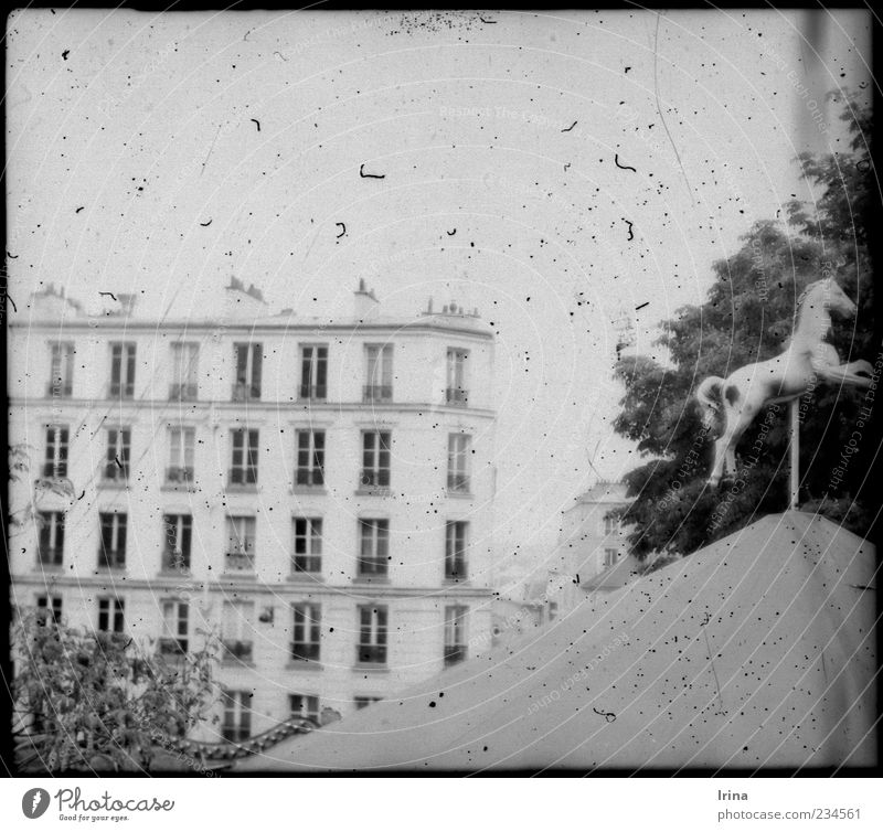 Montmartre White Beauty I Paris Hauptstadt Architektur Sehenswürdigkeit Karussellpferd alt außergewöhnlich Bekanntheit analog Fussel staubig Nostalgie Fassade