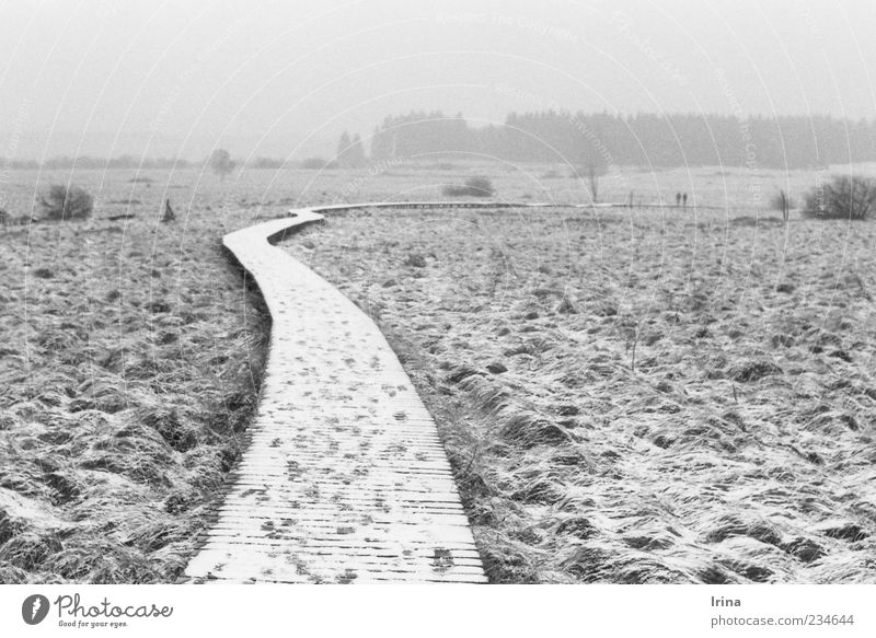 19.02.11 (P+I=15) Natur Landschaft Nebel Schnee Hochmoor Wege & Pfade Steg Ferne wandern Naturschutzgebiet Moor Holzweg analog Schwarzweißfoto