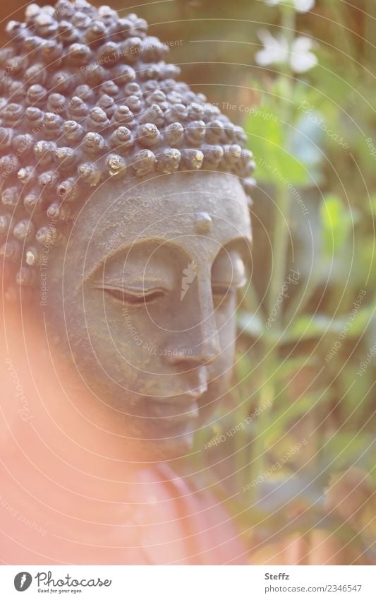 Buddha Statue im Garten Buddhafigur Meditation harmonisch meditieren Zen Yoga achtsam Weisheit Buddhismus Harmonie meditativ Glaube friedlich Gelassenheit
