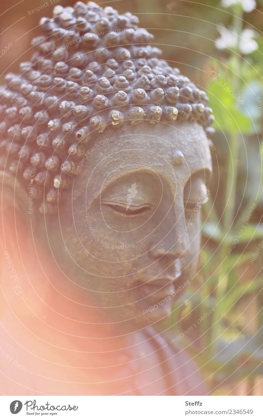 Buddha Statue im Nachmittagslicht Buddhafigur Meditation Glaube Buddhismus Yoga Zen Gelassenheit harmonisch meditieren Transzendenz Sinn Achtsamkeit buddhism