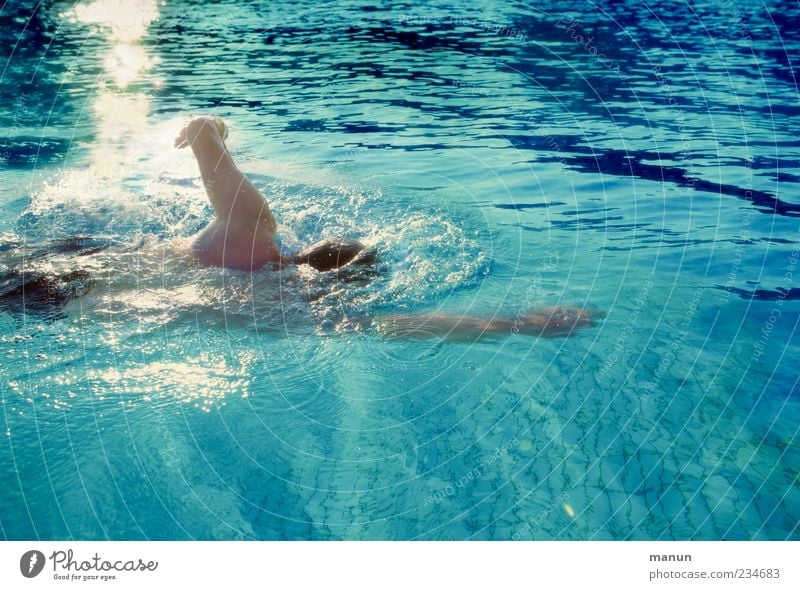 Schwimmfoto Freizeit & Hobby Schwimmen & Baden Schwimmbad maskulin Mann Erwachsene 1 Mensch authentisch sportlich Bewegung Fitness Farbfoto Außenaufnahme