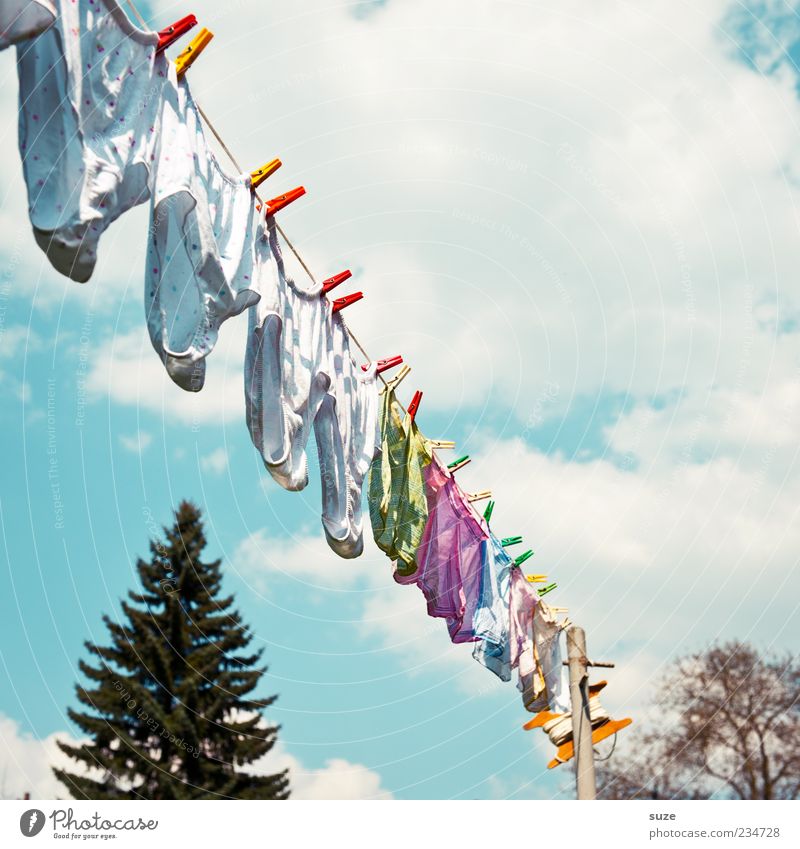 Mo, Di, Mi, Do, Fr ... Duft Sommer Häusliches Leben Himmel Wolken Schönes Wetter Wind Unterwäsche hängen frisch Sauberkeit Unterhose Wäsche Wäscheleine Waschtag