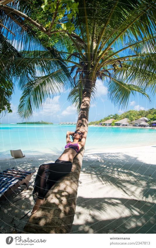 Auf einer Palme Freude Leben Glück Momente Liebe Sonne erstaunlich Fröhlichkeit Malediven blau Wasser Sand weiß traumhaft