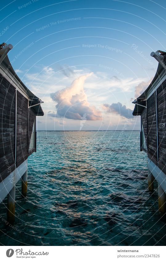 Zwischen zwei Häusern Freude Liebe Freiheit rein Wasser übersichtlich Kristalle türkis Aquamarin huse Malediven Leben genießen Fröhlichkeit Ewigkeit Himmel