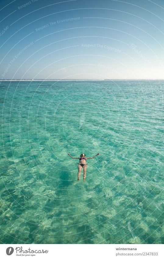 Das Leben genießen Malediven Wetter warm Sommer blau Meer Himmel türkis Kristalle übersichtlich Glanz Sonnenschein schön Liebe Freude Freiheit Fröhlichkeit
