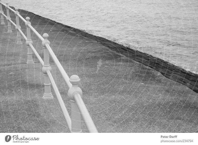 Promenade Geländer Wasser Wellen Küste Meer Auckland Neuseeland Hafenstadt Menschenleer Platz kalt Originalität rund Spitze grau schwarz weiß ruhig Ordnung