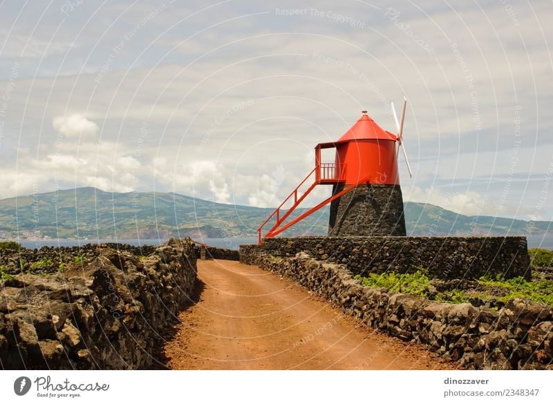 Windmühle in den Weinbergen der Insel Pico auf den Azoren, Ferien & Urlaub & Reisen Sightseeing Sommer Meer Landschaft Pflanze Himmel Wolken Gras Gebäude